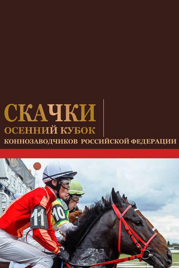 Скачки. Осенний Кубок коннозаводчиков РФ. Трансляция из Краснодара