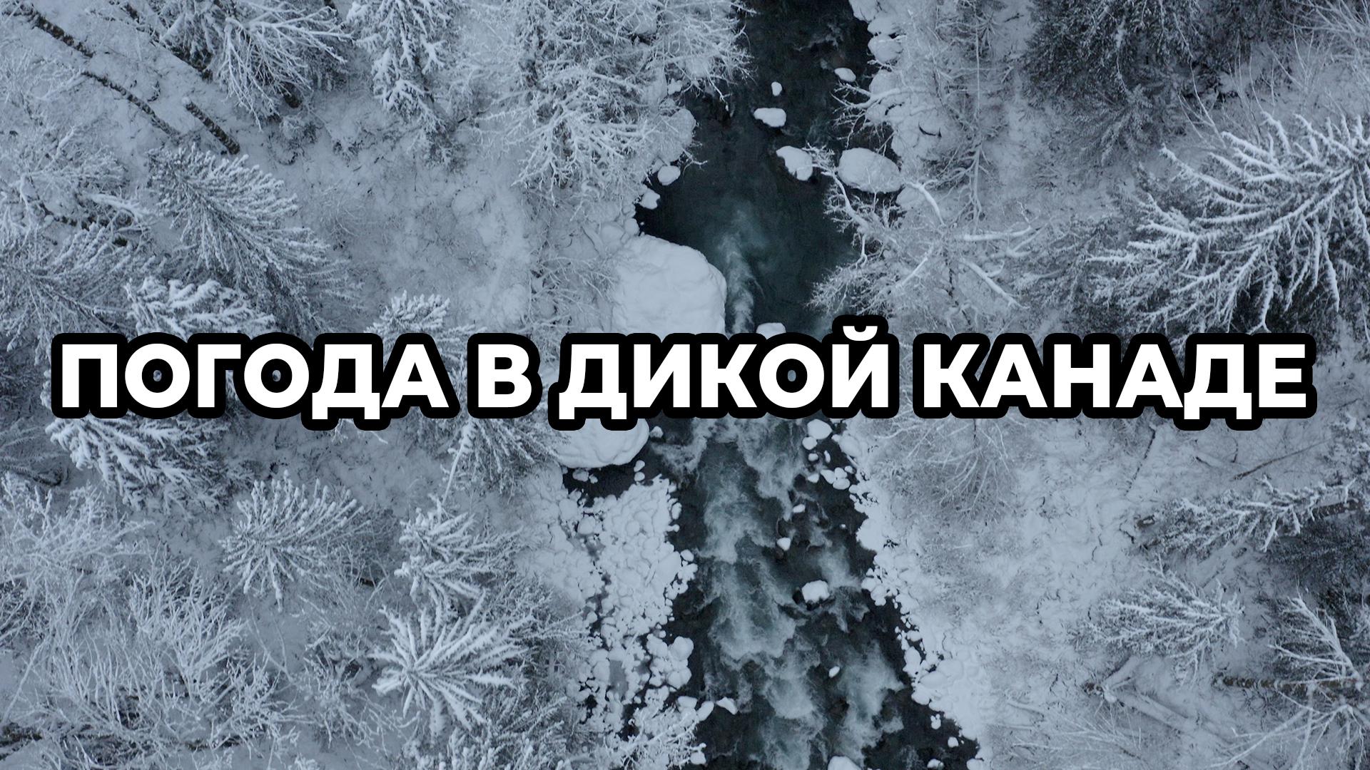 Погода в дикой Канаде