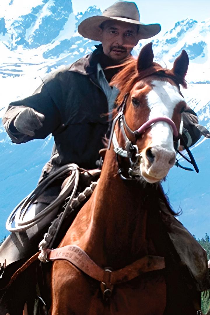 Дикие лошади