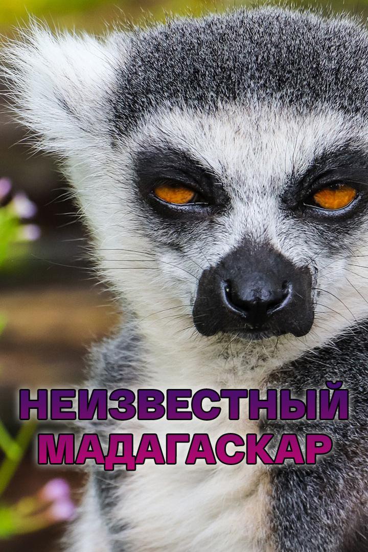 Неизвестный Мадагаскар