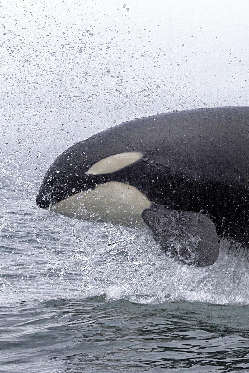 Под ногами небо