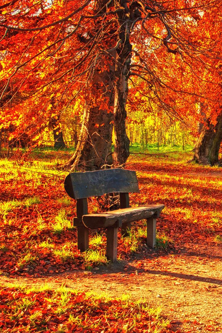 И снова осень. Элегия