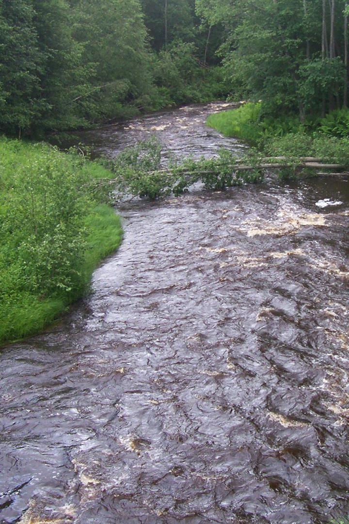 Безымянный ручей