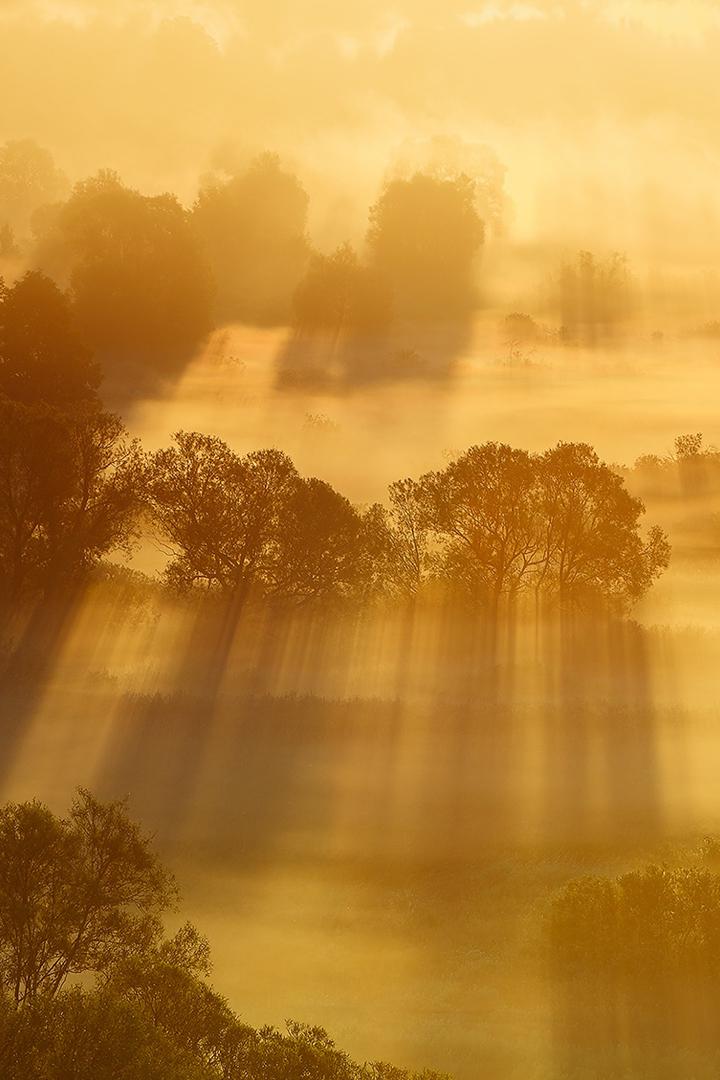 Рассвет в Золотой долине