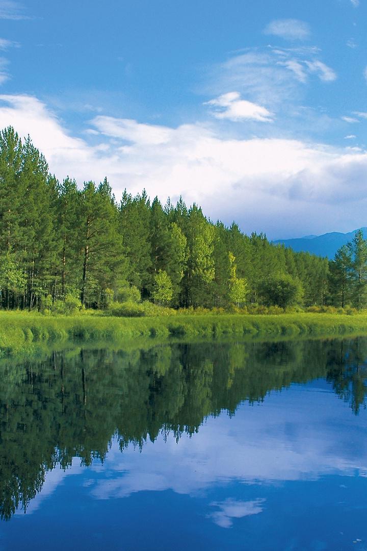 Лесное озеро