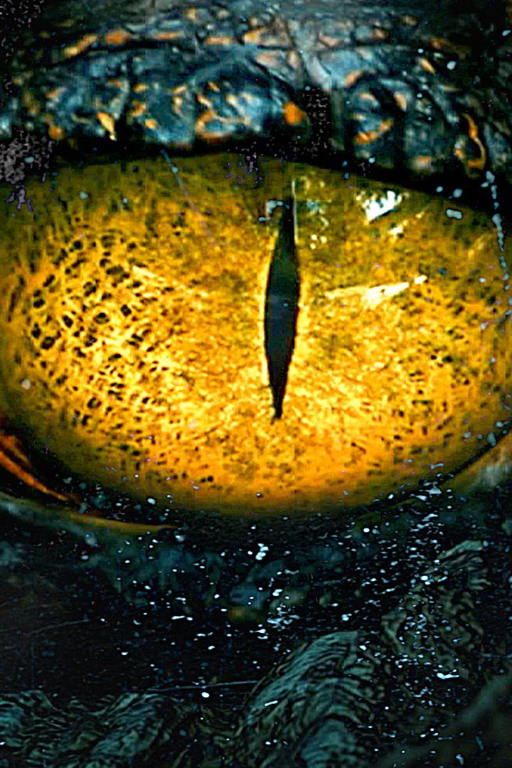 Мифы: великие тайны человечества