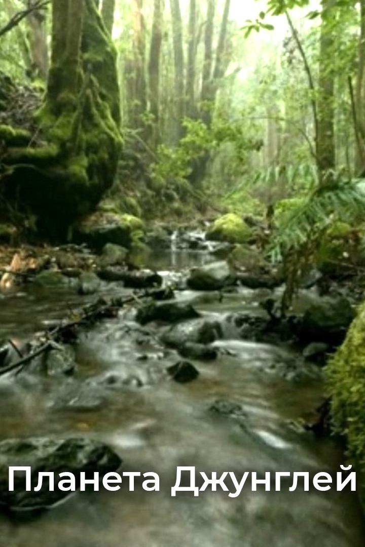 Планета Джунглей