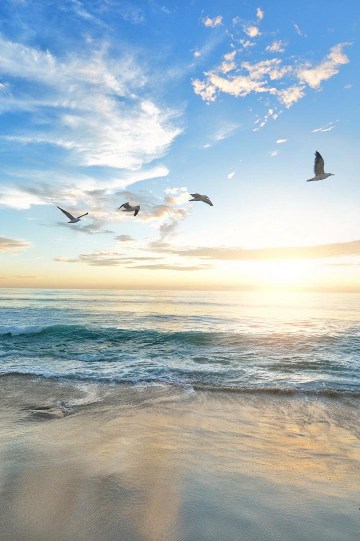 Блаженны милостивые...