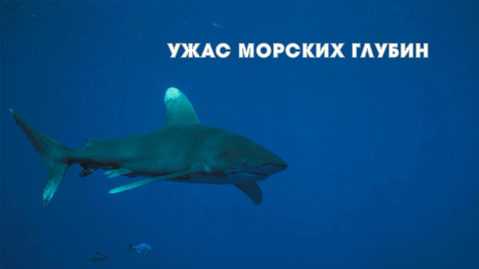 Ужас морских глубин