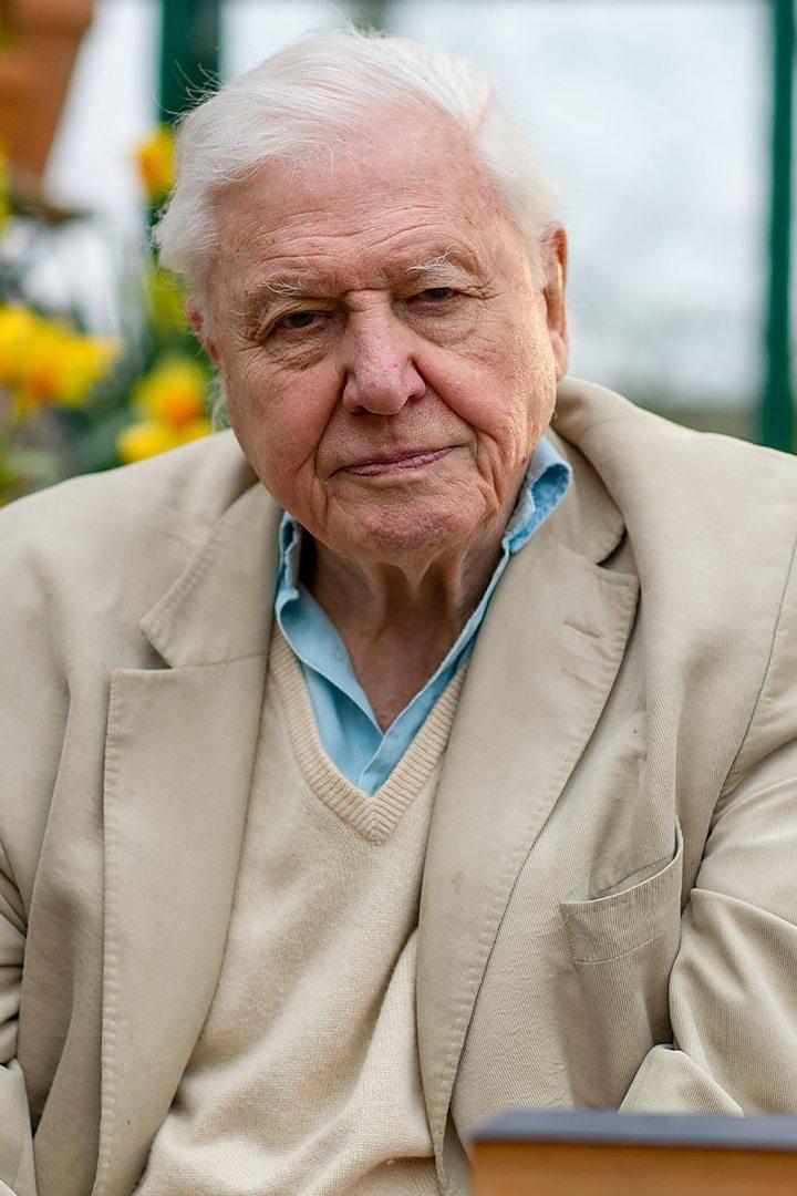 Чудесные звуки природы с Дэвидом Аттенборо