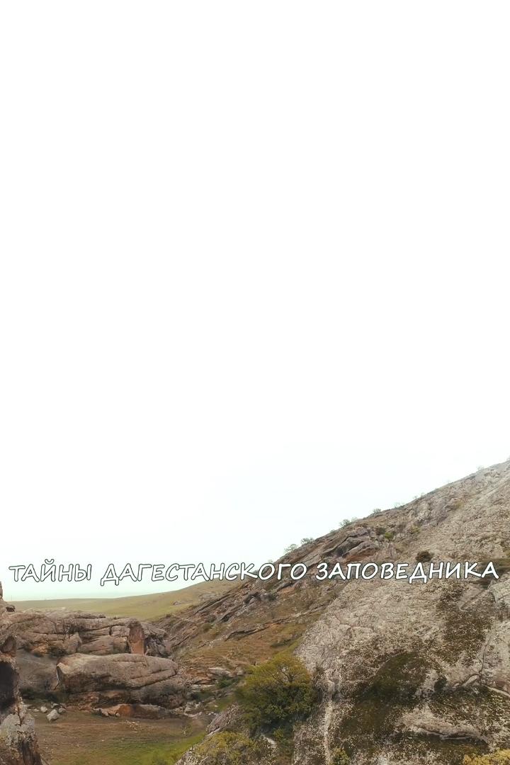 Тайны Дагестанского заповедника