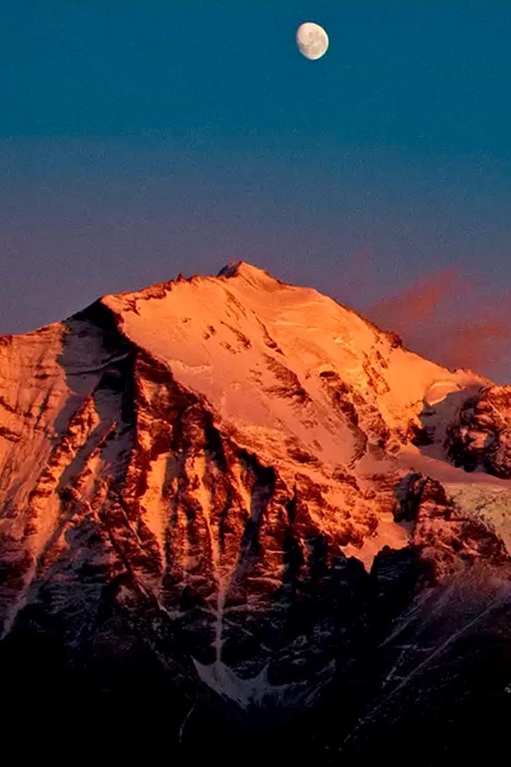 Дикая природа Чили