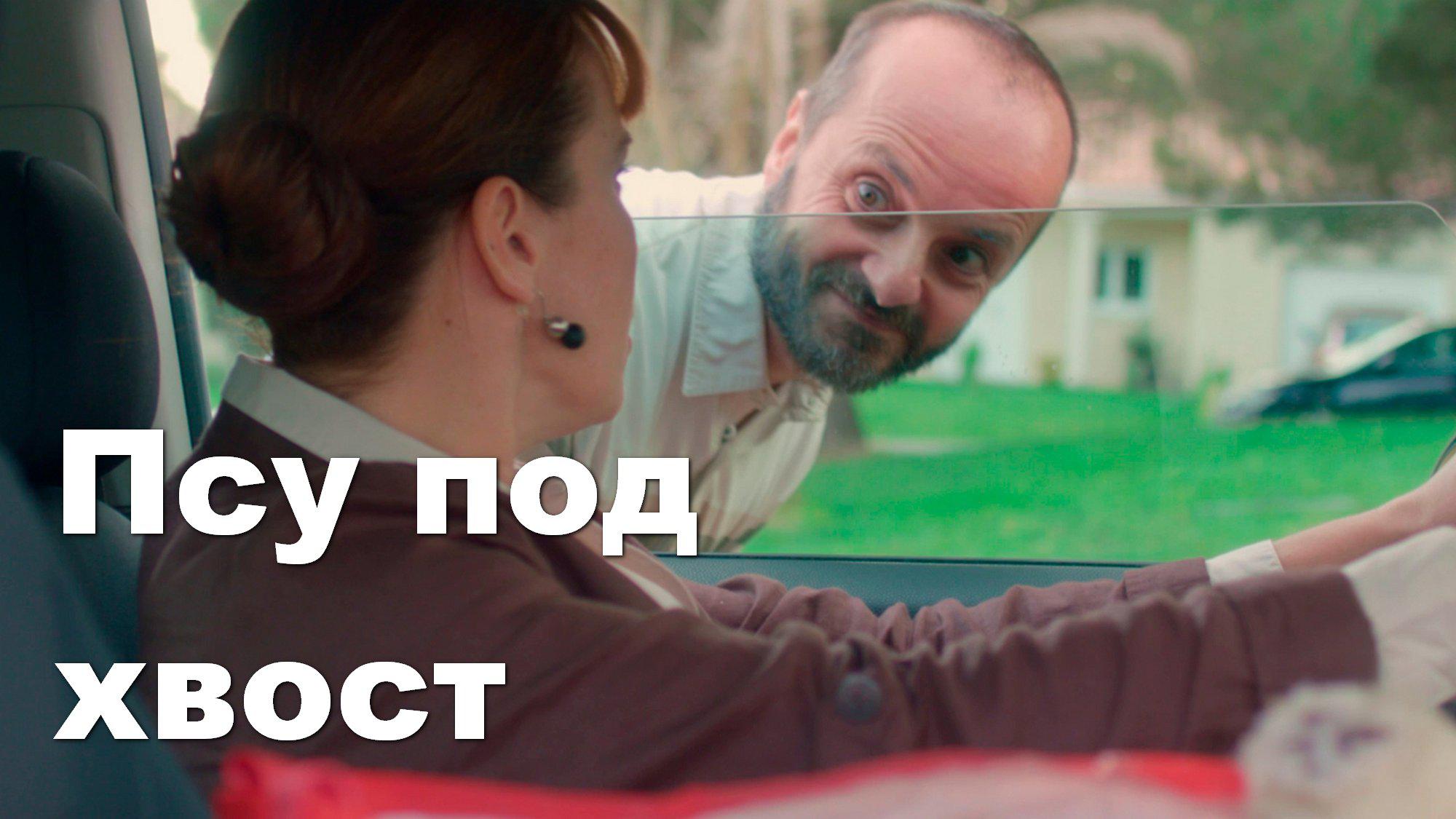 Псу под хвост