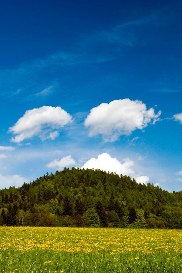 Волшебные мгновения. Магия природы