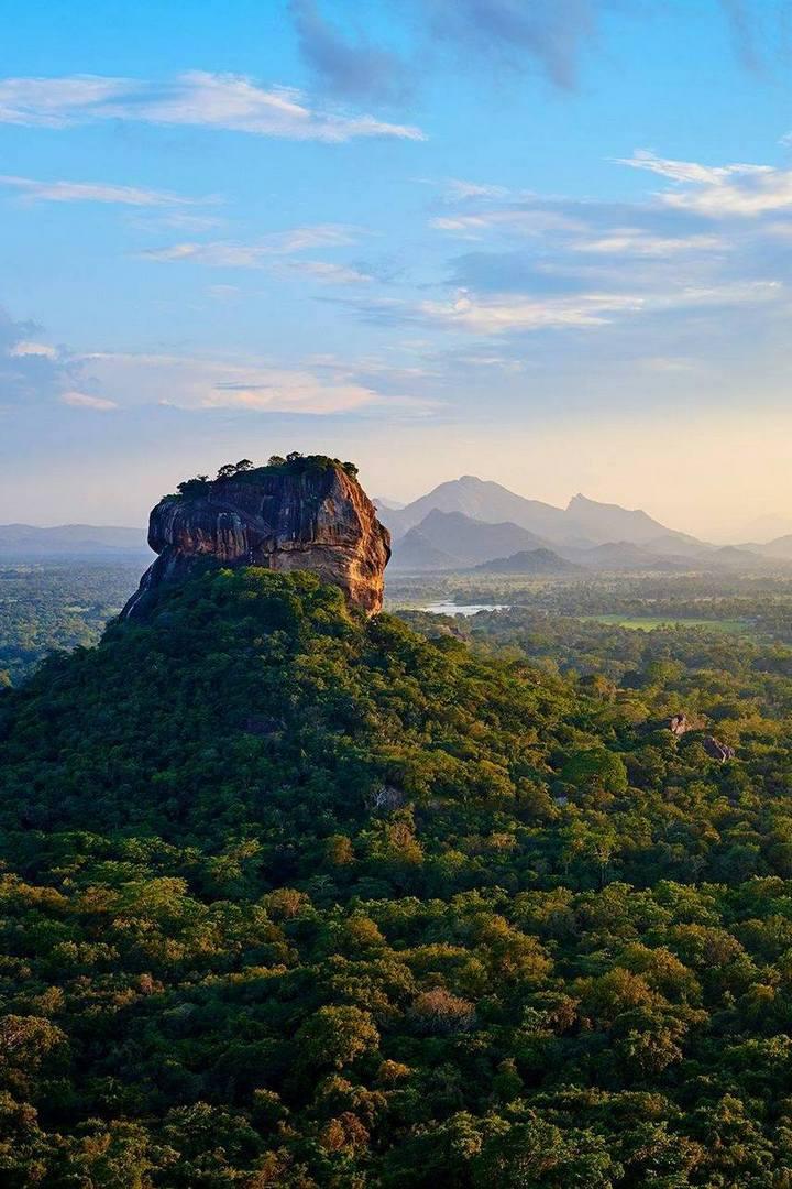 Дикая природа Шри-Ланки