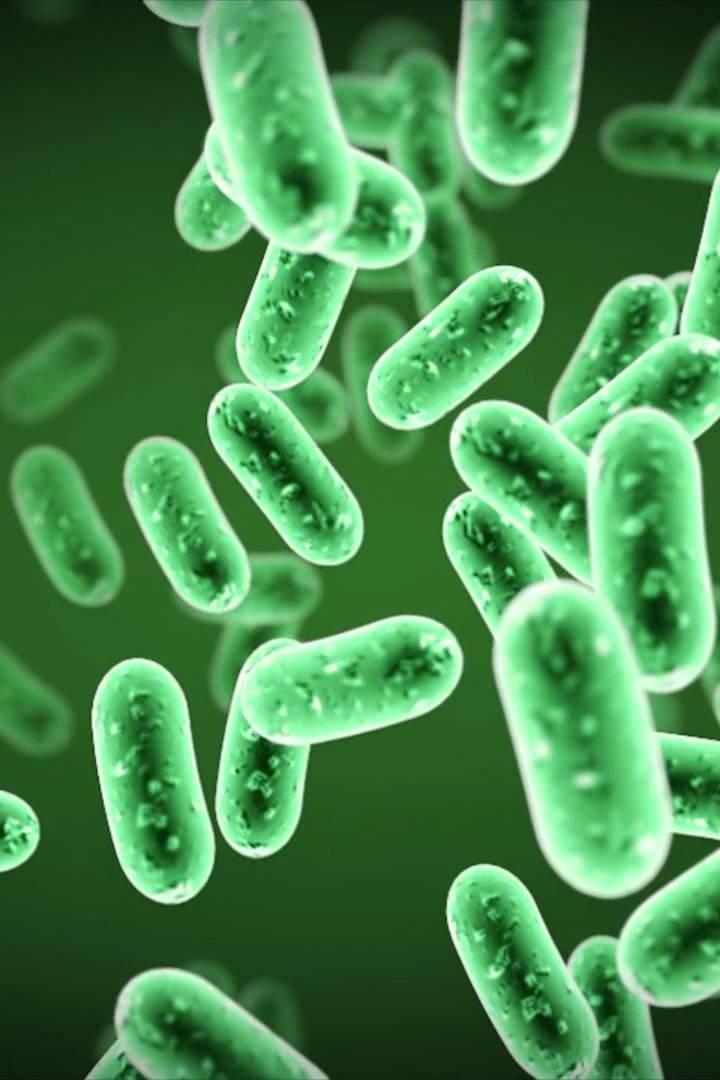 Микробы, которыми мы дышим