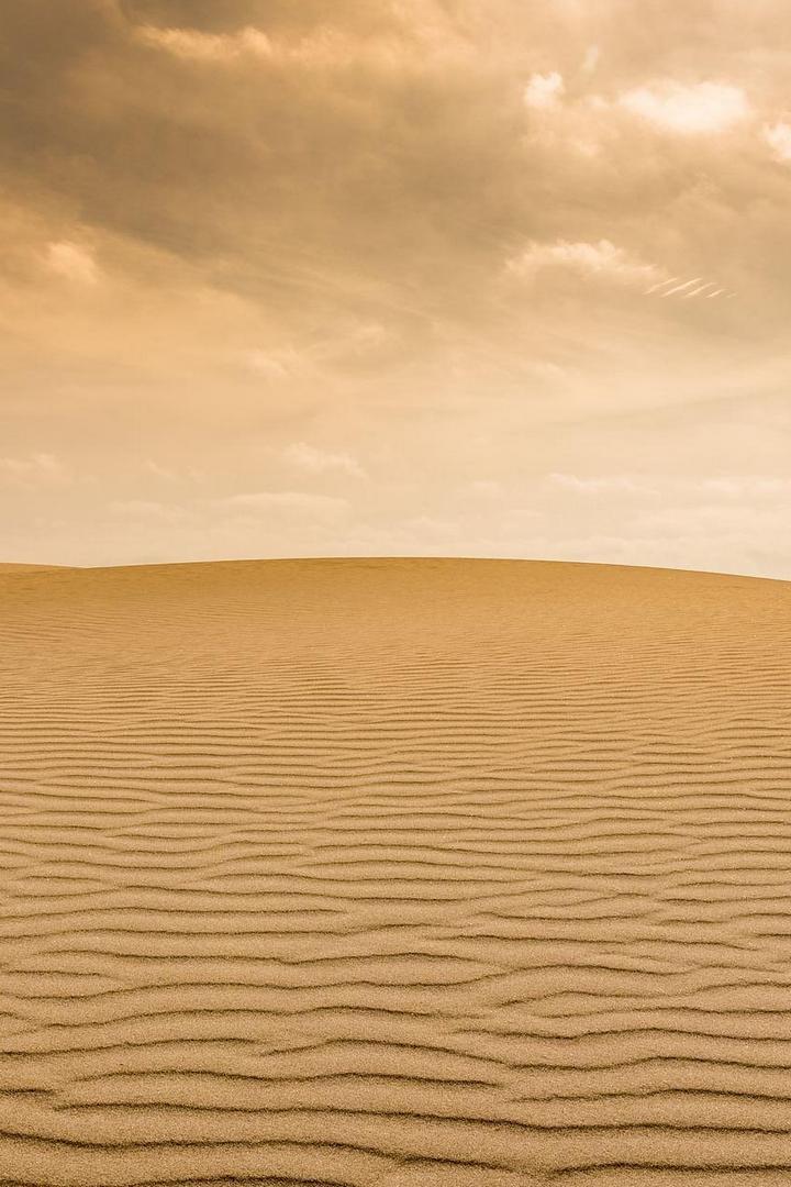 Братья в пустыне