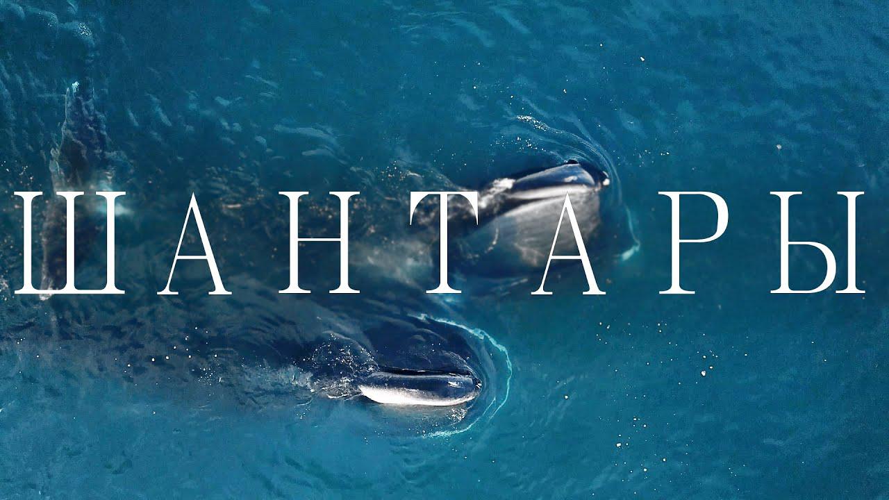 Шантарские острова