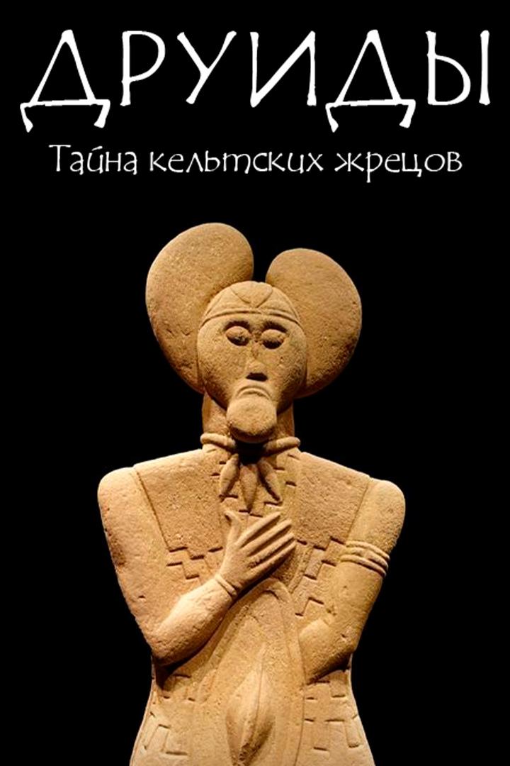 Друиды: тайны кельтских жрецов