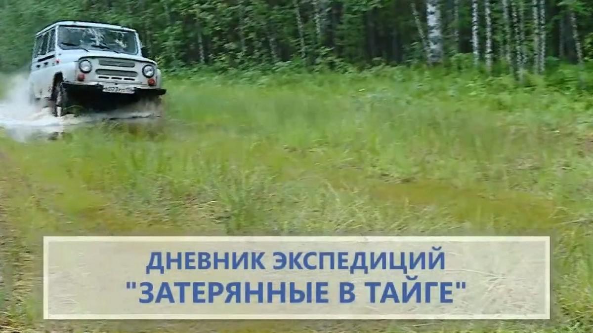 Дневник экспедиций. Затерянные в тайге ЛЕТО