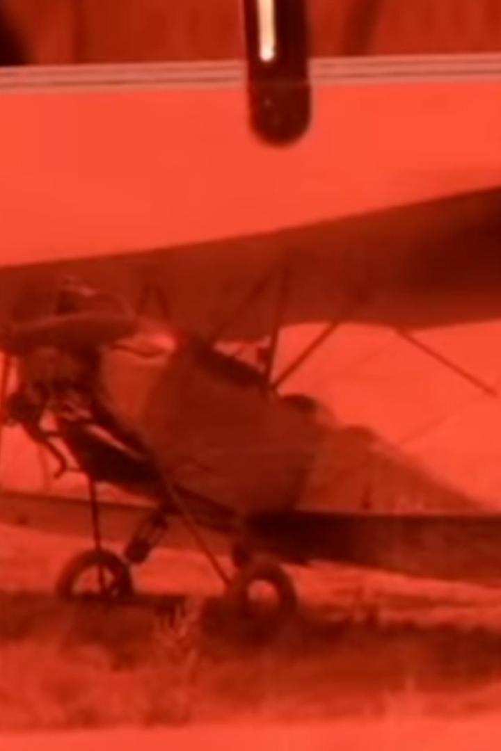 На крыльях времени