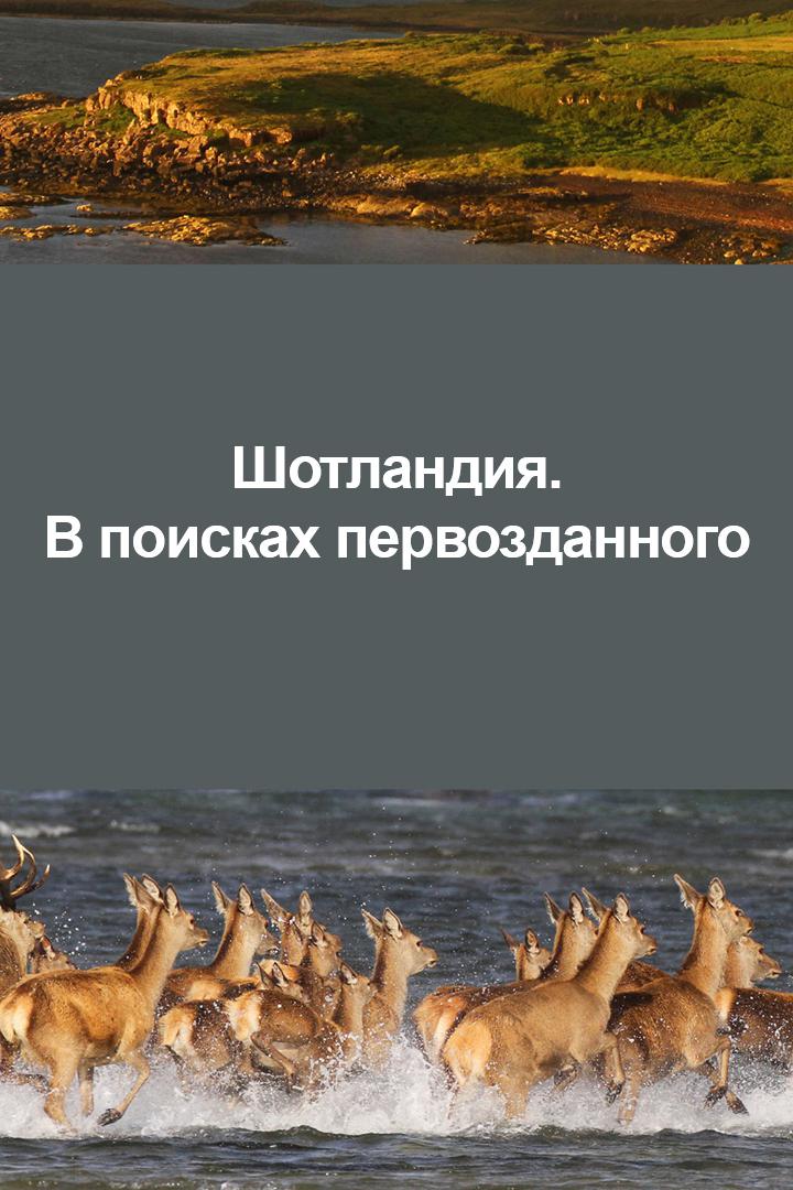 Шотландия. В поисках первозданного