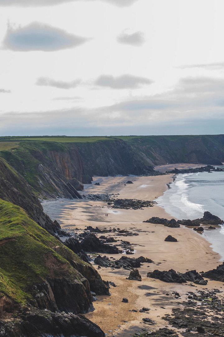 Безумный год в дикой природе