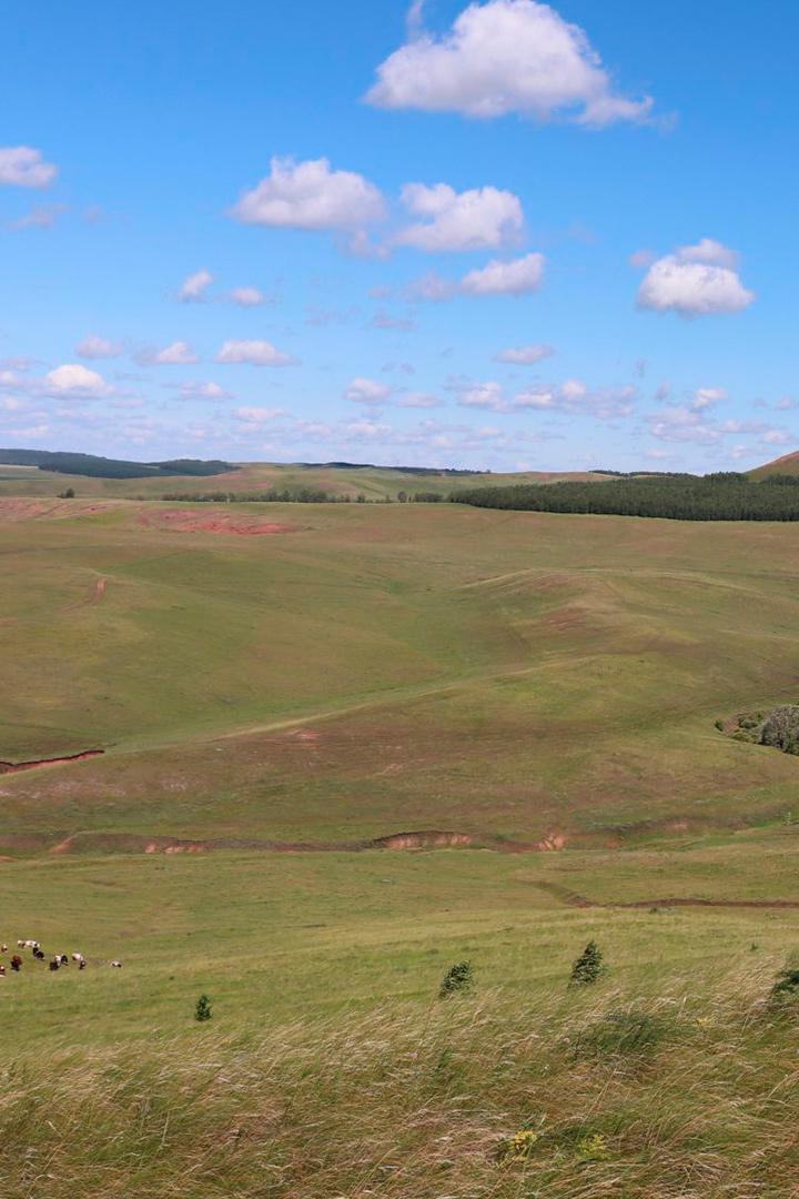 Лошади у горы Сатыр-Тау