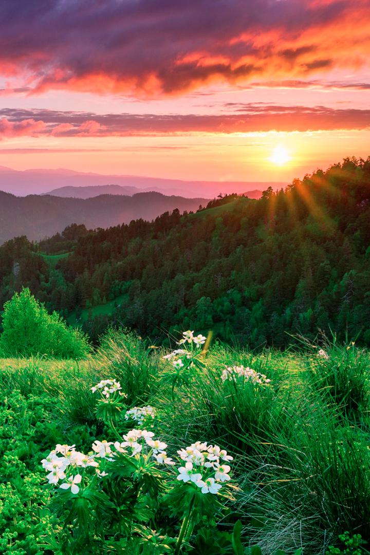 Пейзажи Адыгеи