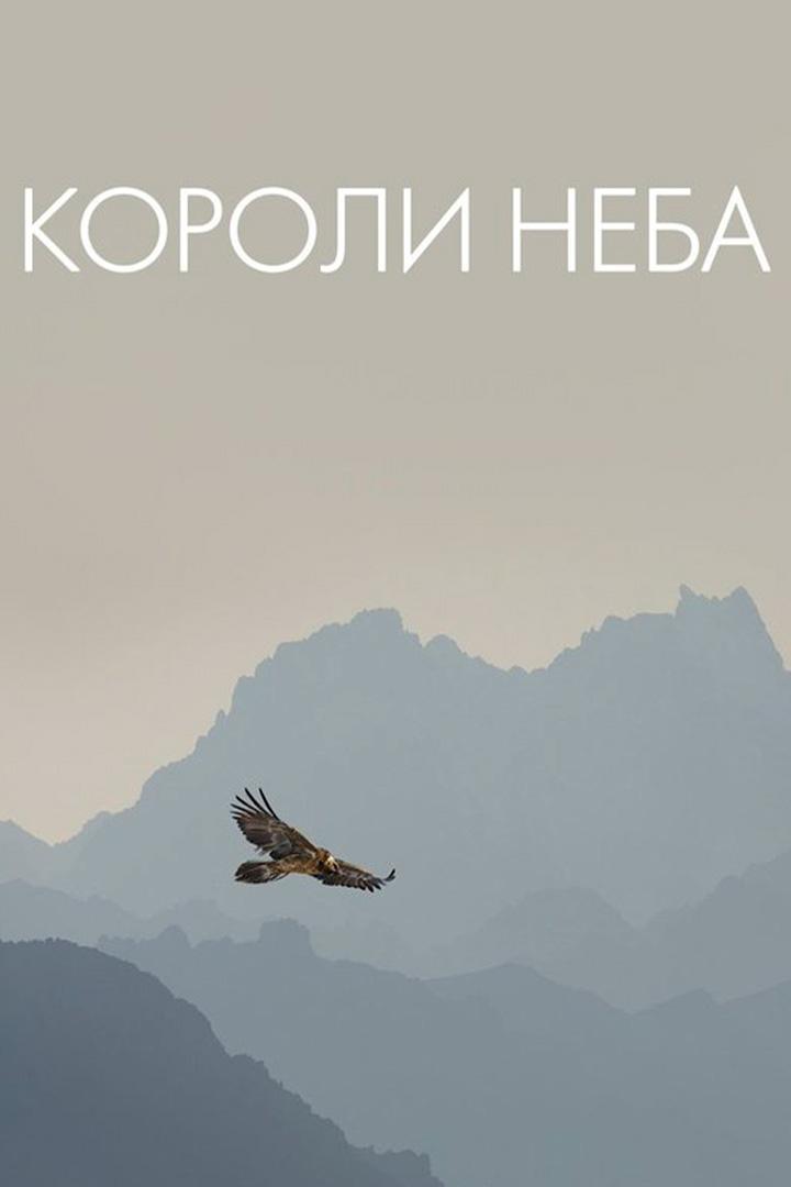 Короли неба