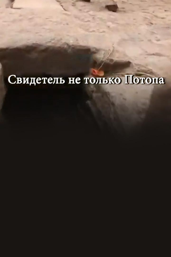 Свидетель не только Потопа