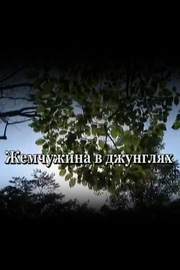 Жемчужина в джунглях