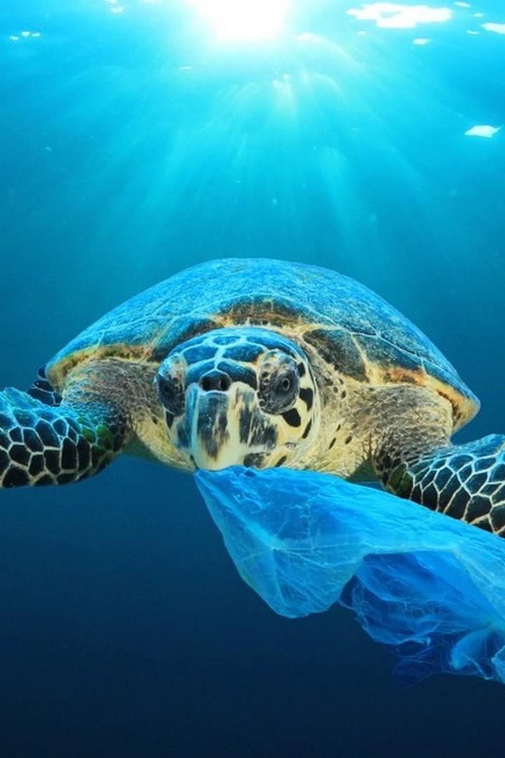 Микропластик в океане