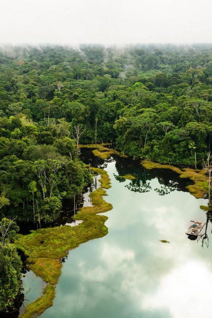 Зов Амазонии