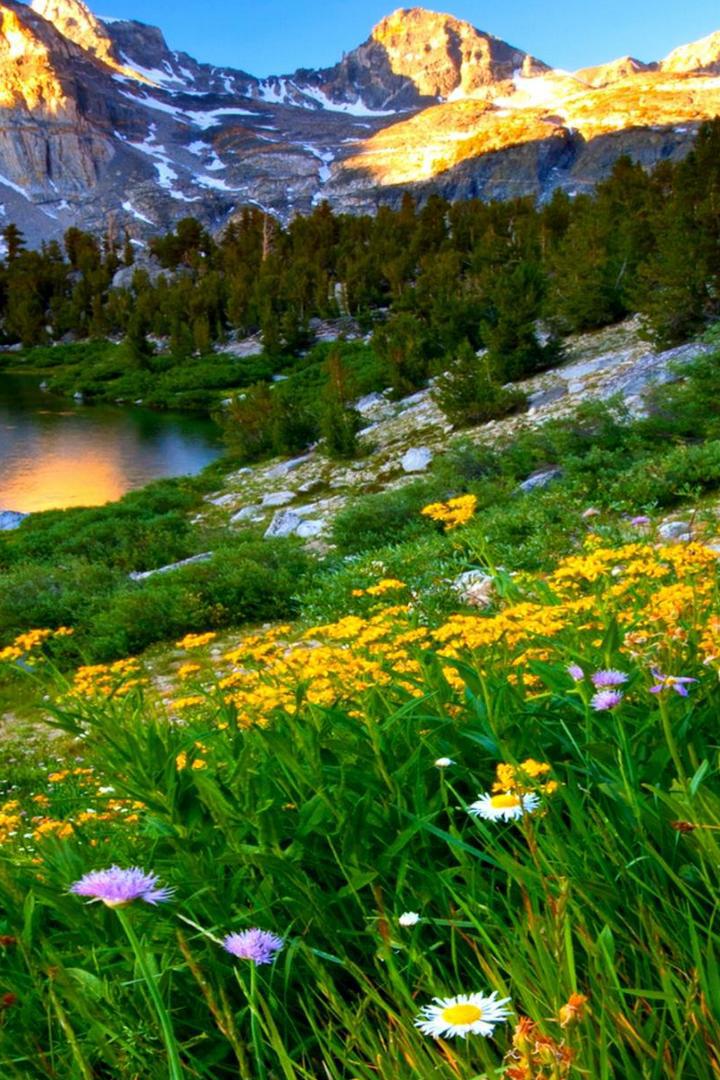 Весна в горах