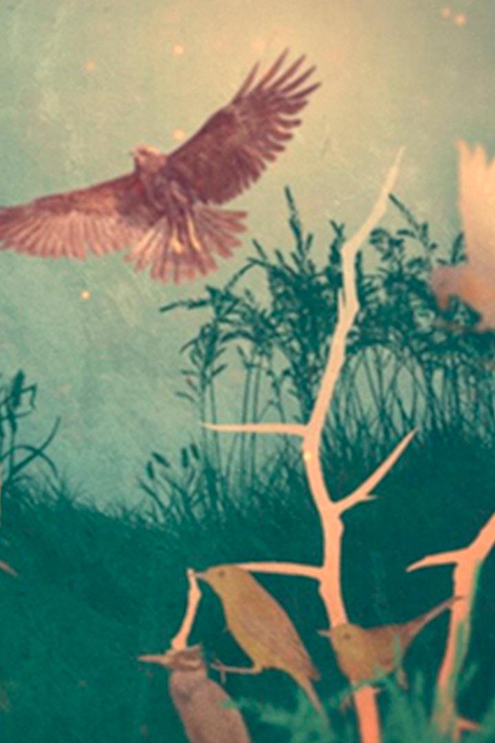 Большой птичий транзит. Туровский луг