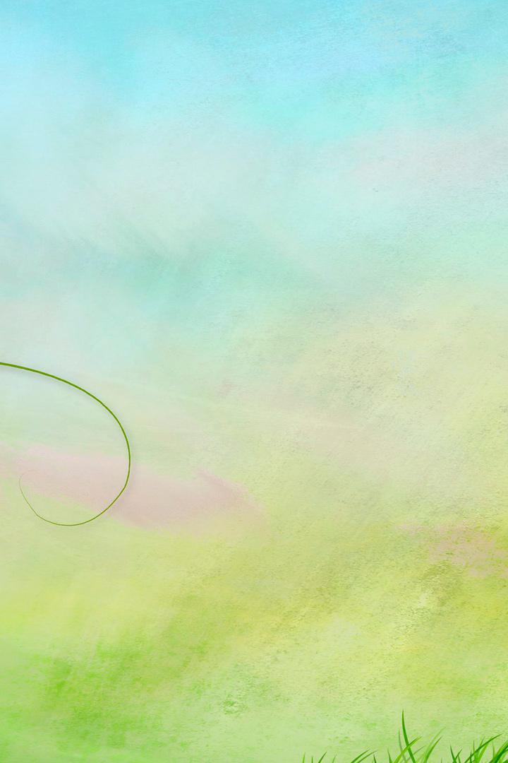 Удивительные судьбы животных