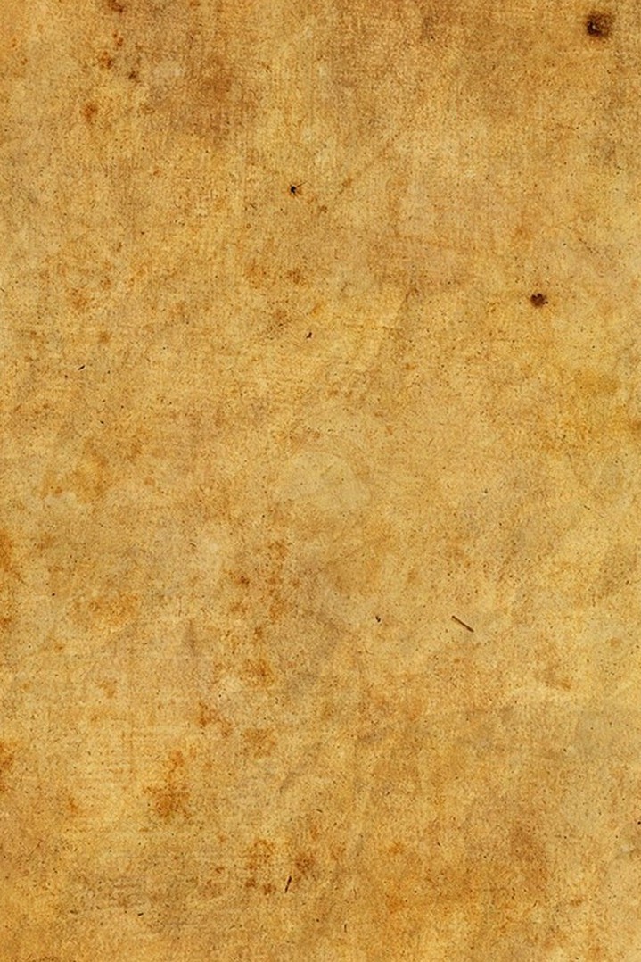 Дворянские фамилии России