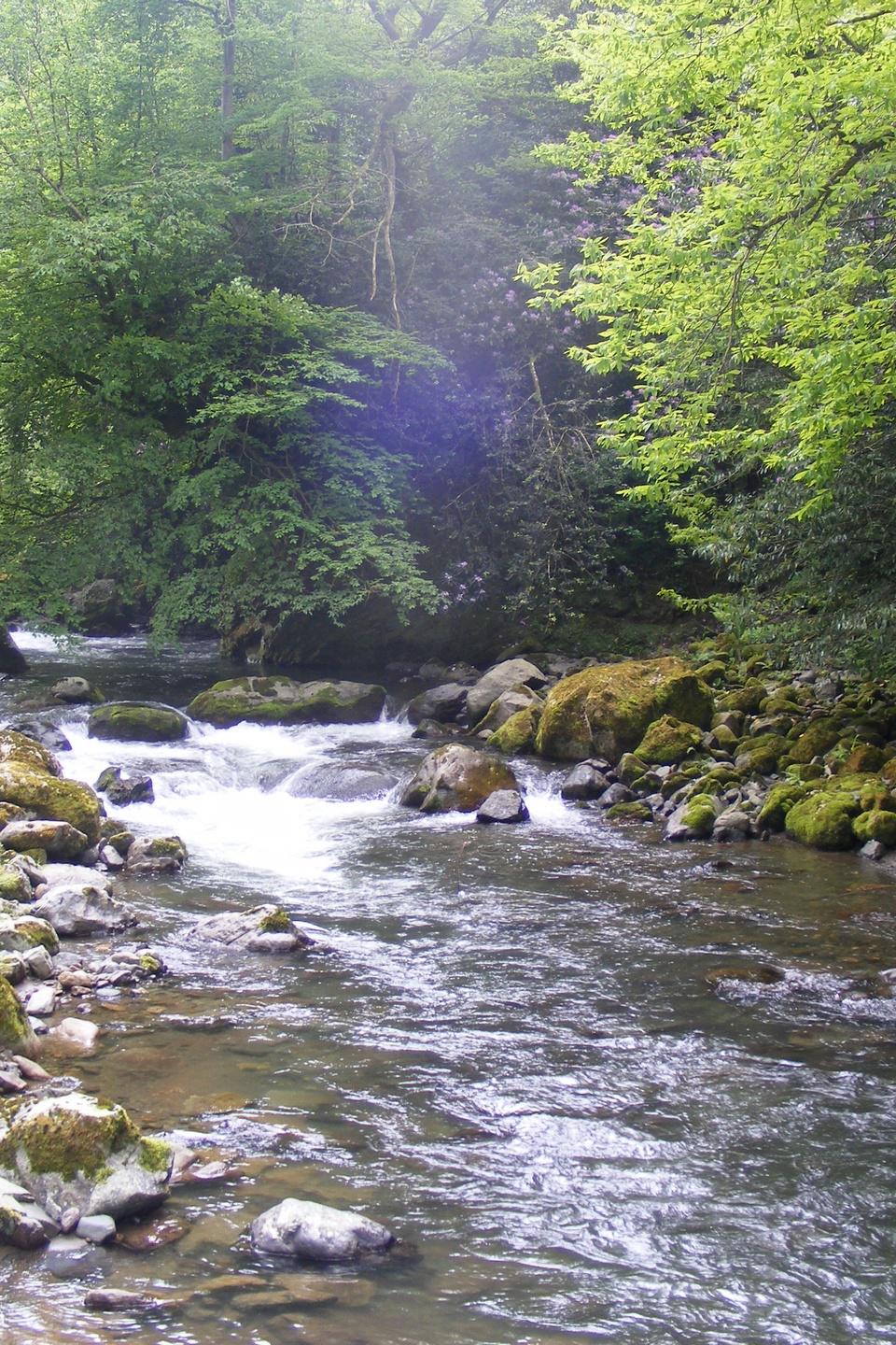 Река Чаквистскали