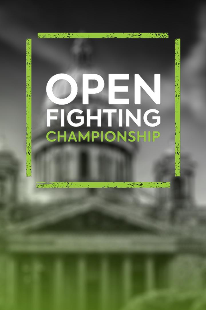 Смешанные единоборства. Open FC. Михаил Царев против Владимира Васильева. Анна Ремнева против Элане Макарио