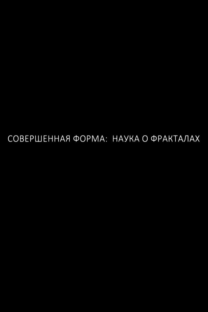 Совершенная форма. Наука о фракталах