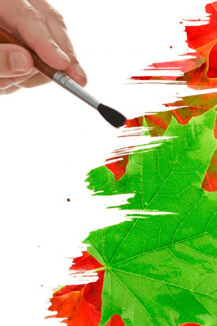 Краски осени