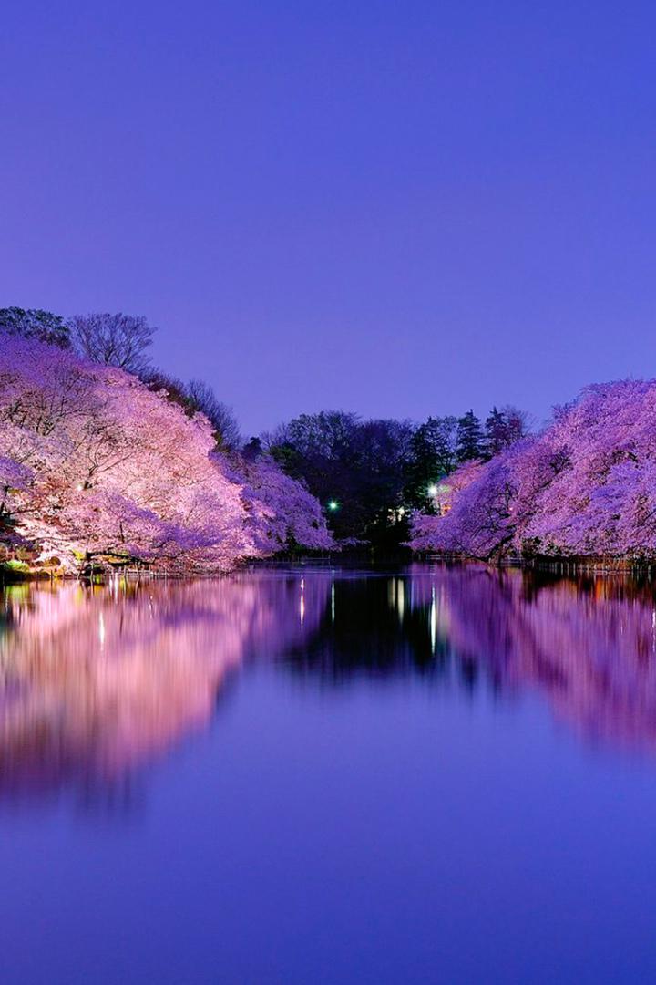 Реки Японии