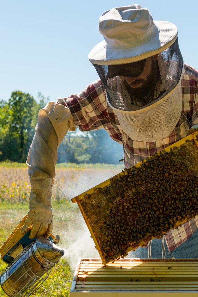 Сельские будни