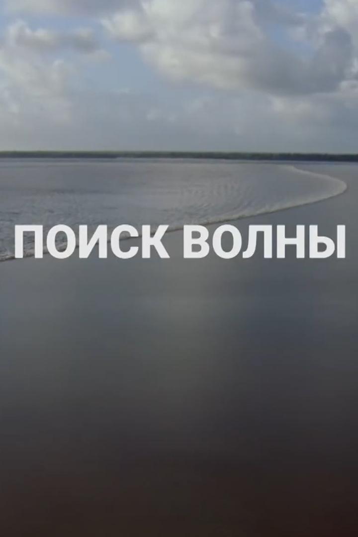 Поиск волны