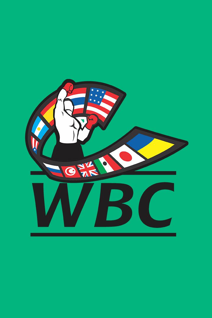 12-раундовый бой WBC World Eliminator в первом тяжёлом весе (до 90,7 кг). Руслан Файфер (Россия) - Алексей Папин (Россия)