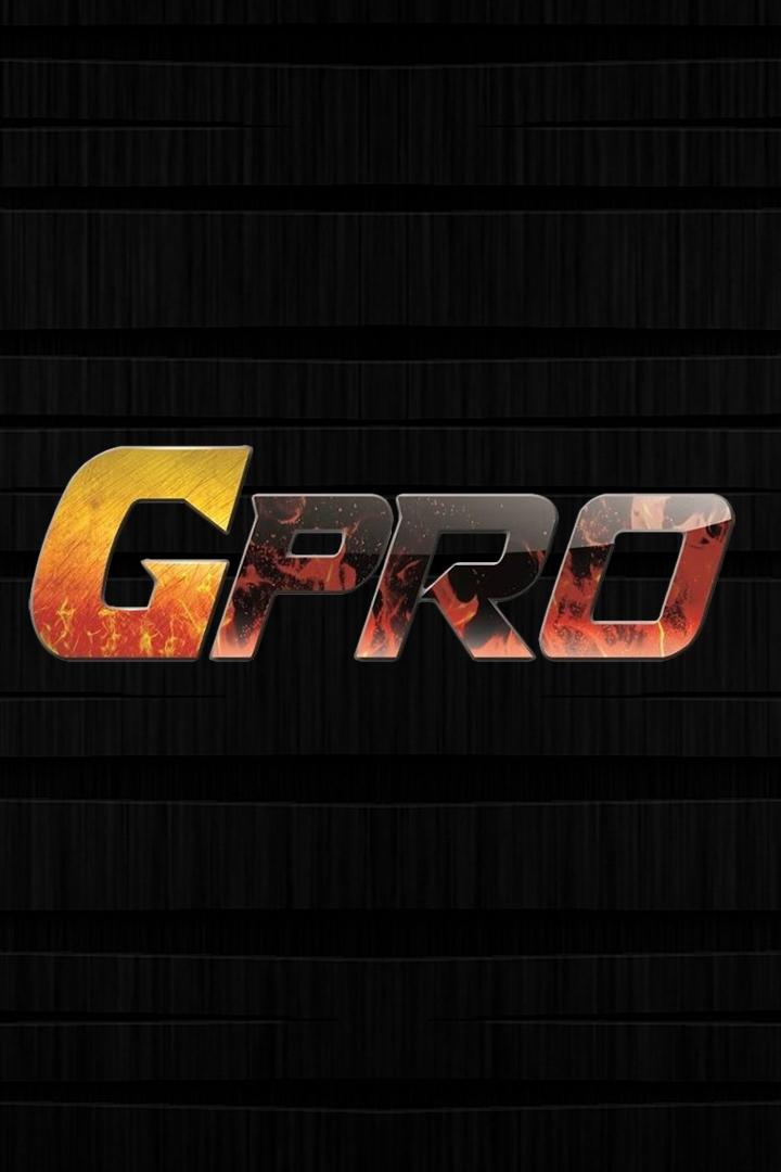 Тайский бокс GPRO-38