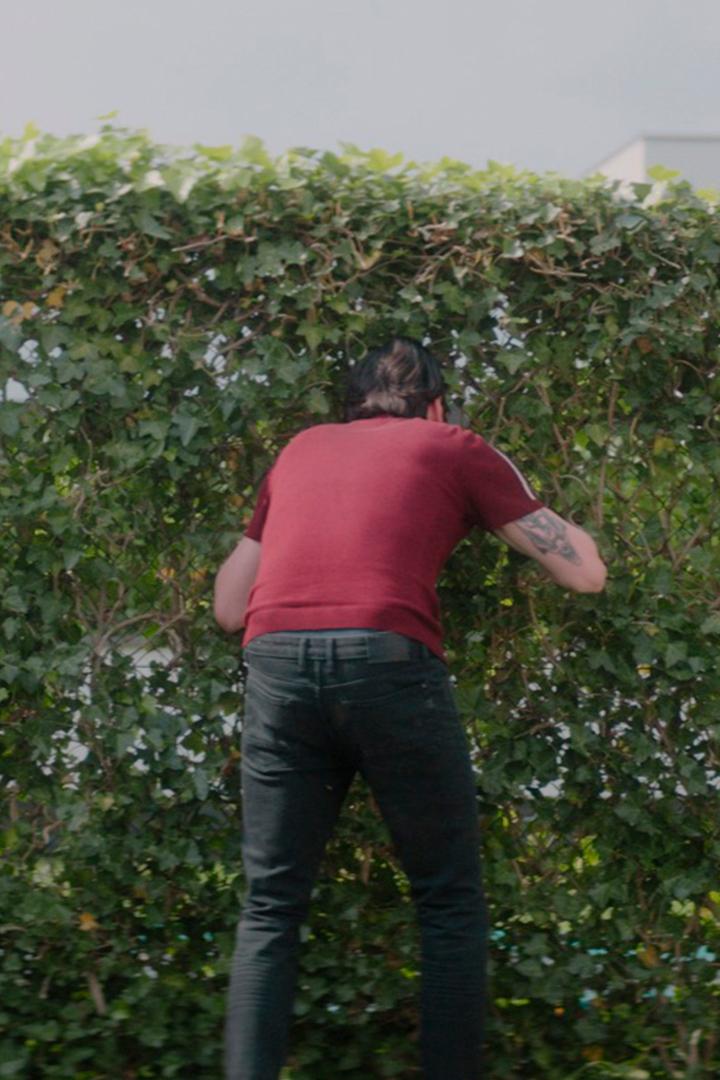 Динамо-мужчина