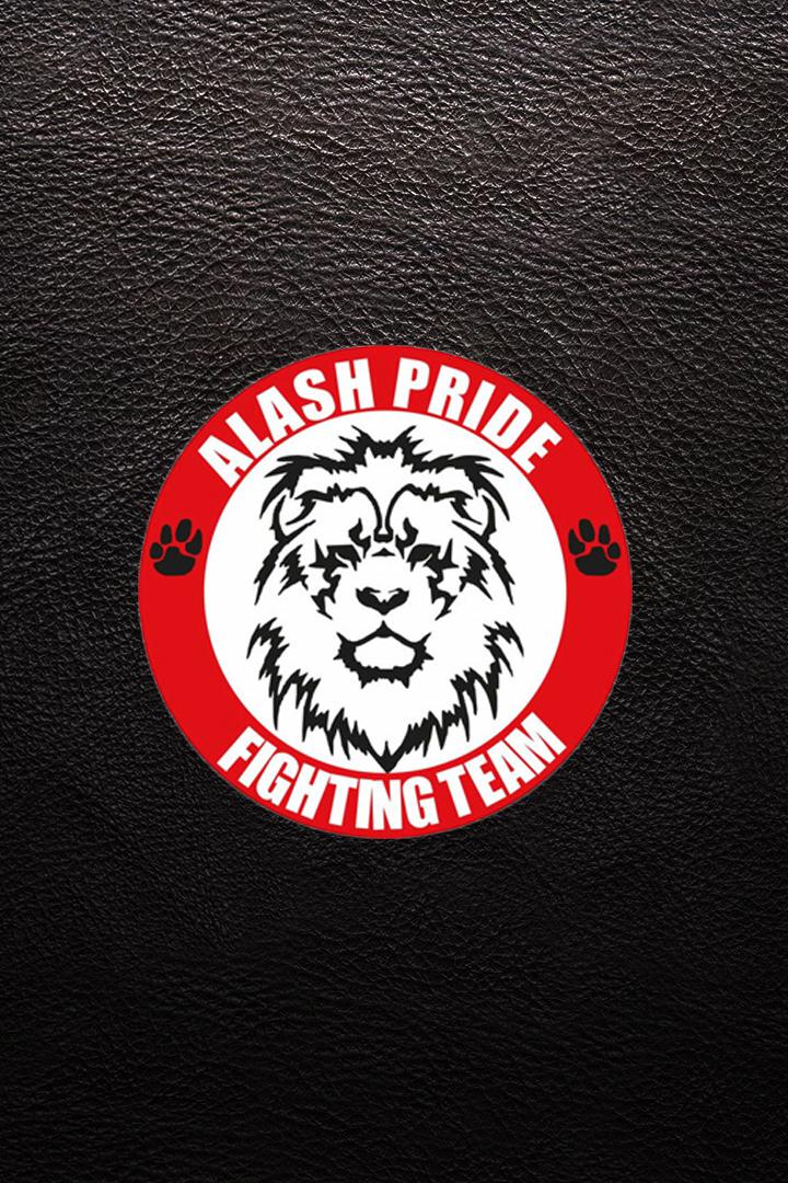 Шоу Alash Pride Орбулакская битва (ММА и кикбоксинг, профессионалы). Талдыгорган (Казахстан)