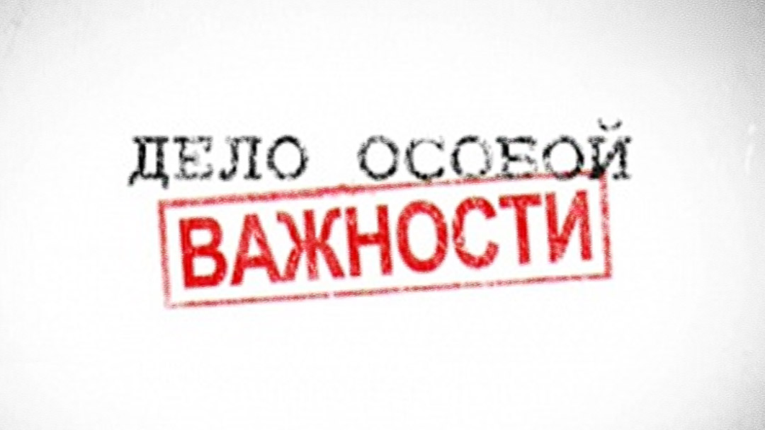 Дело особой важности